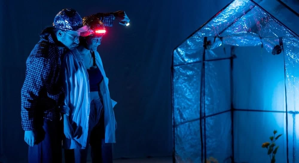 Il dilemma dei cento girasoli fotovoltaici