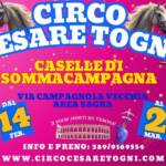 circo cesare togni