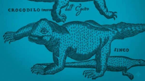 Laboratorio di stampa con gomma crepla per bambini