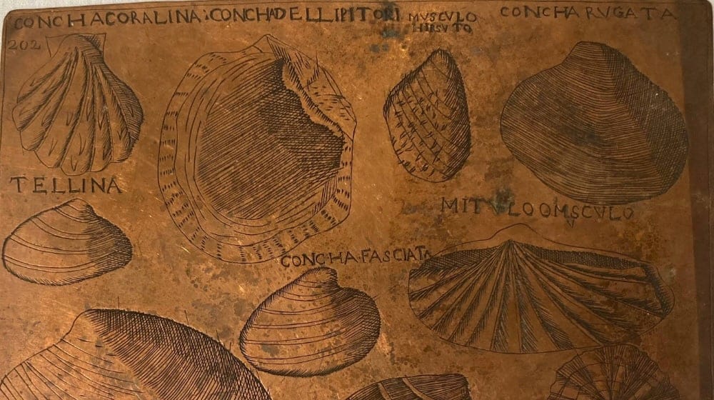 laboratorio stampa puntasecca