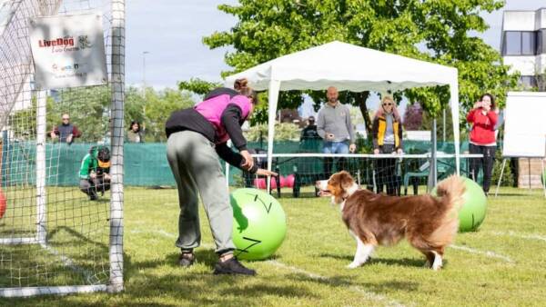 LiveDog Fest nel grande parco cinofilo di Verona