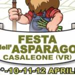festa asparago casaleone