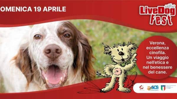LiveDog Fest 2026 nel grande parco cinofilo di Verona