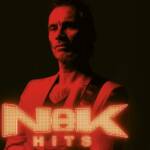 nek hits live al Castello Scaligero di Villafranca