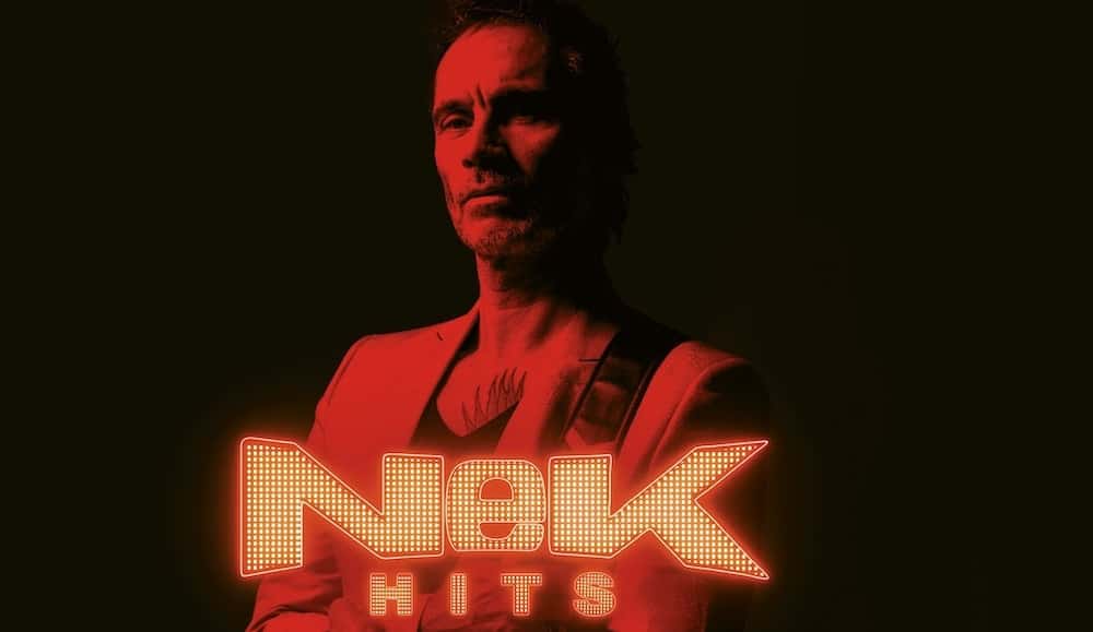 nek hits live al Castello Scaligero di Villafranca