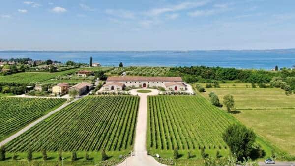 Cantine Aperte a Bardolino da Guerrieri Rizzardi