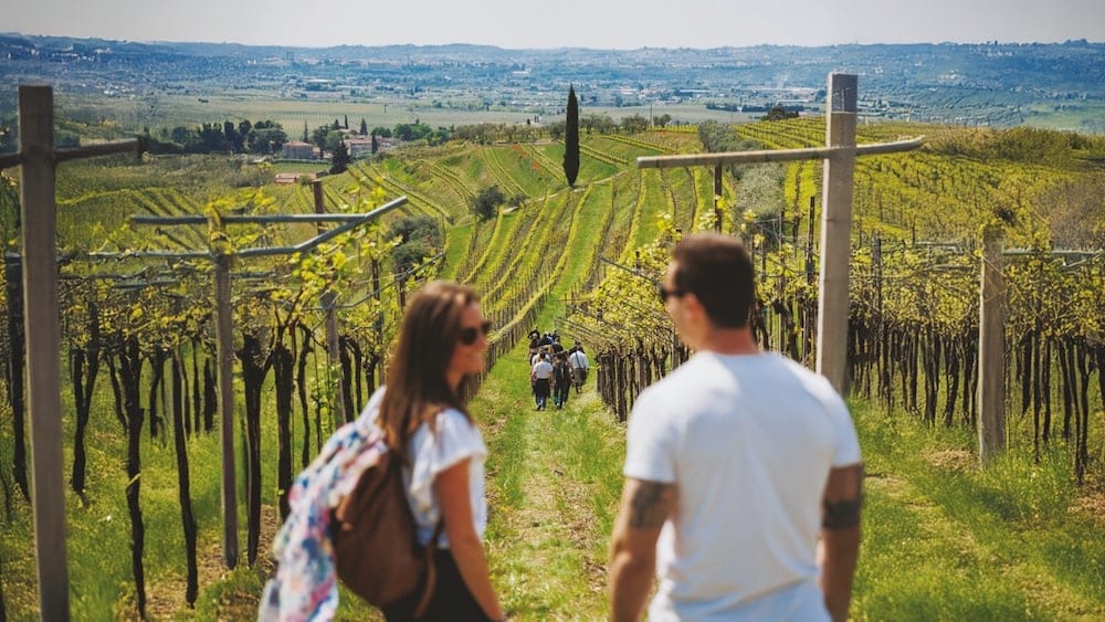 Trekking in Vigneto