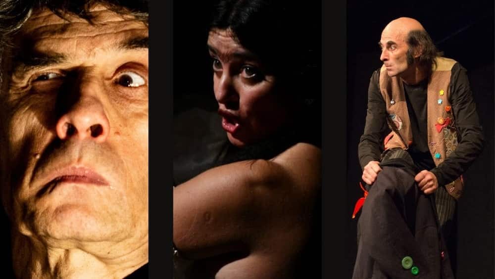 teatro in corte ad affi