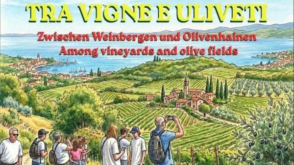Passeggiate tra vigne e uliveti a Bardolino