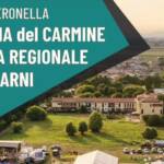 sagra madonna del carmine veronella 2026