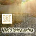 Whole Lotta Noise