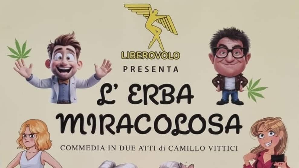 erba miracolosa